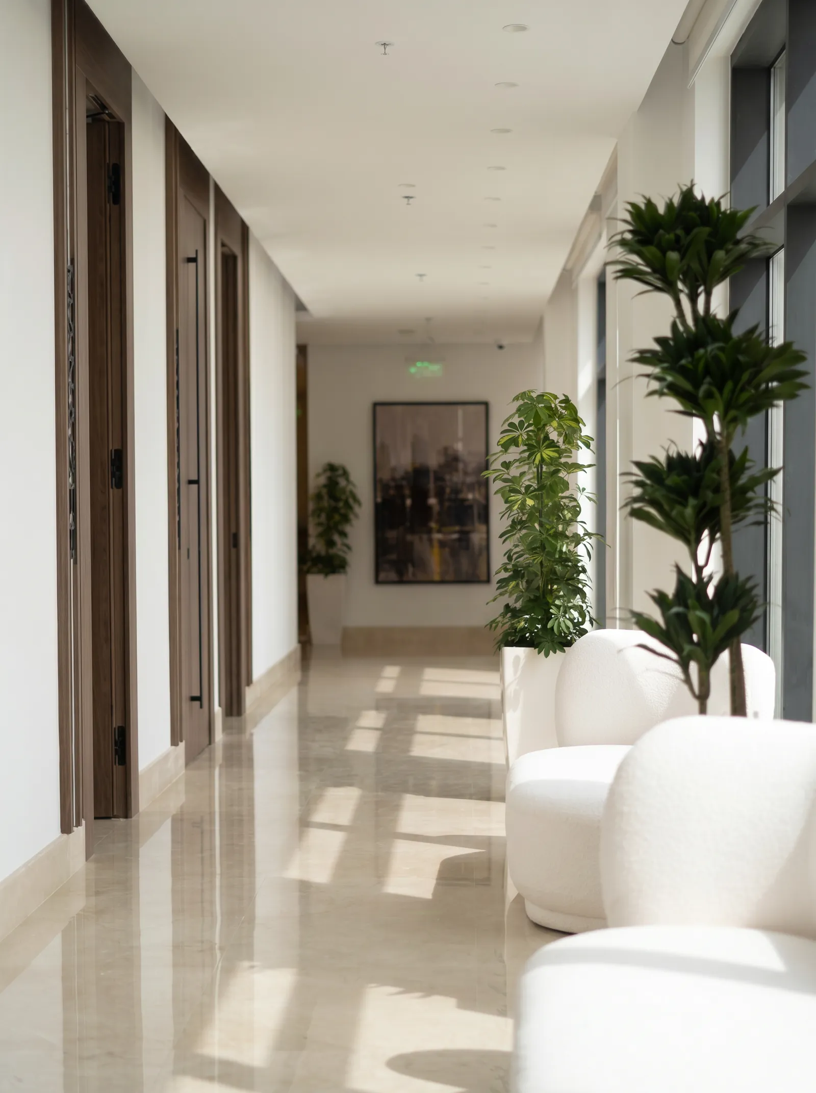 The lounge